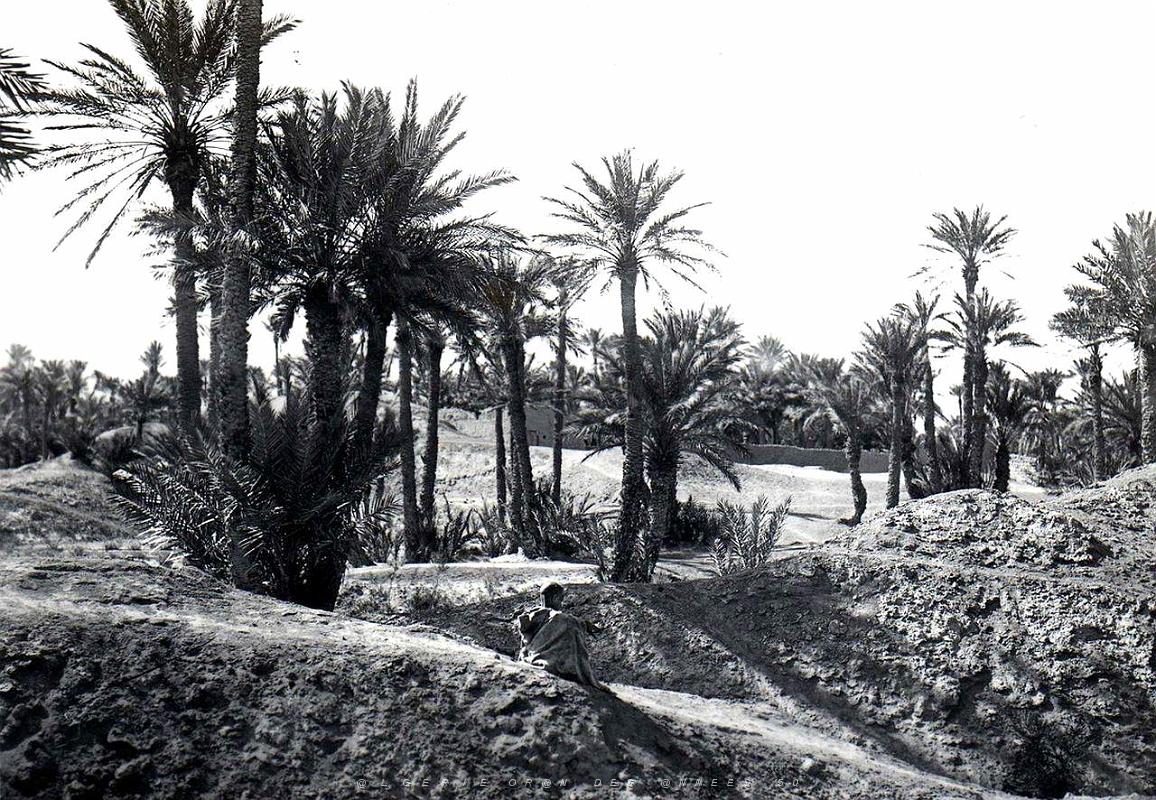 Sud oranais 009-Monneret.jpg
